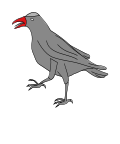 flashcard image