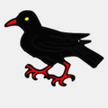 flashcard image