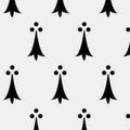 flashcard image