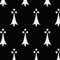 flashcard image