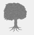 flashcard image