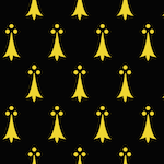 flashcard image