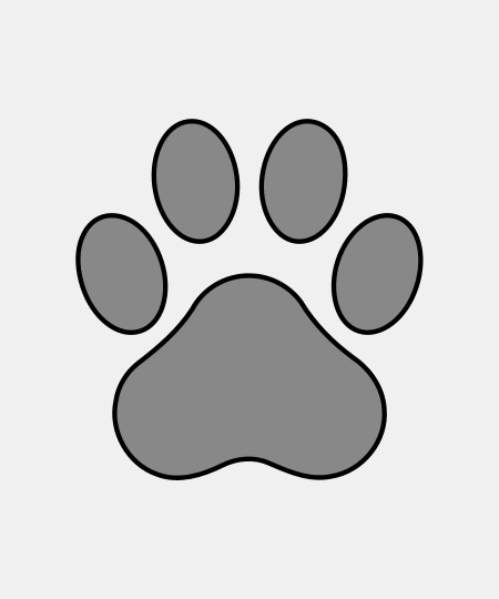 Paw Print