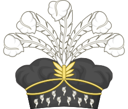 Cap Of An Imperial Count