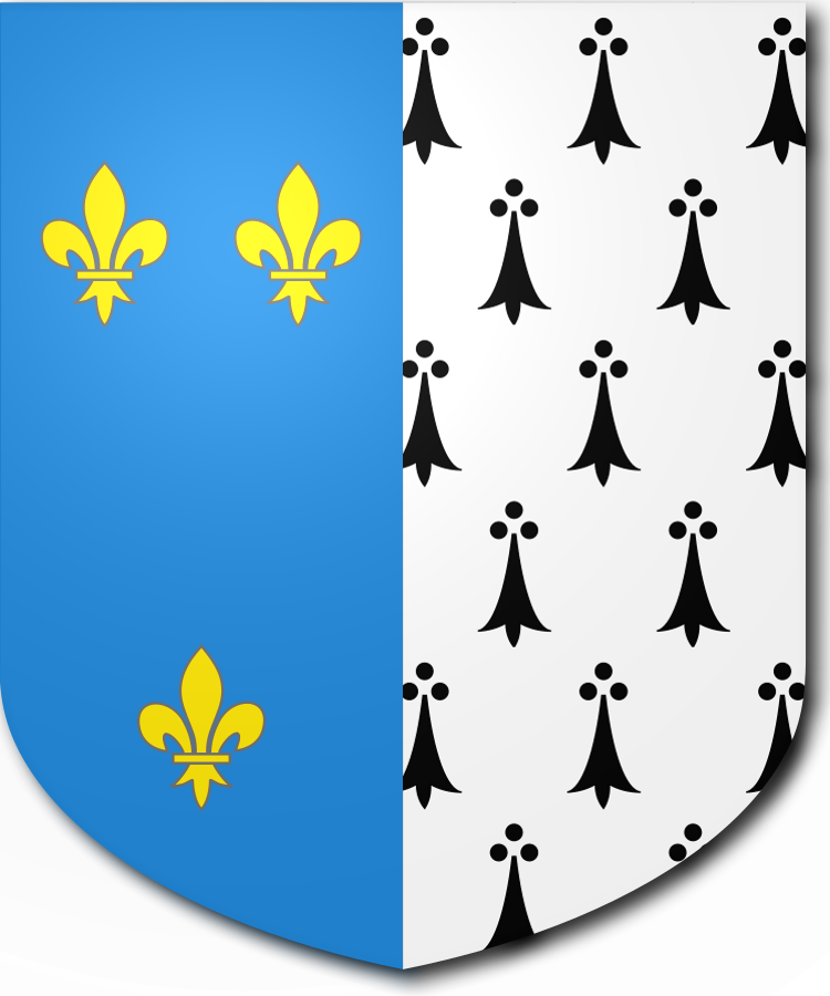 Shield image