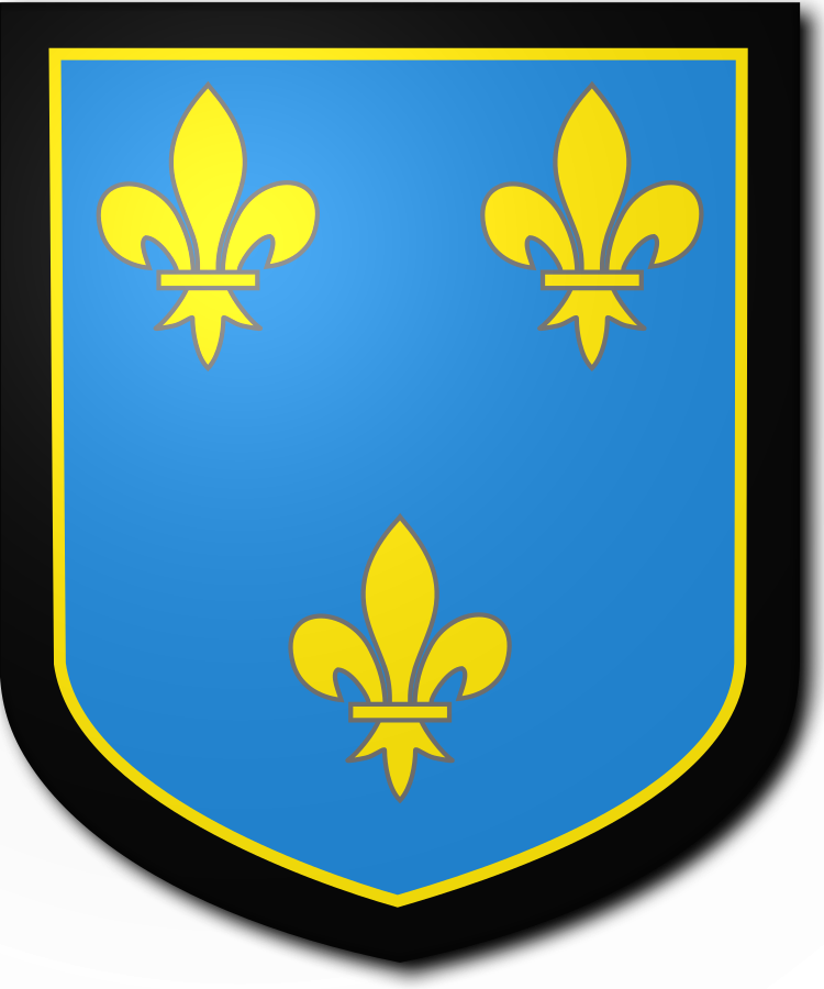 Shield image