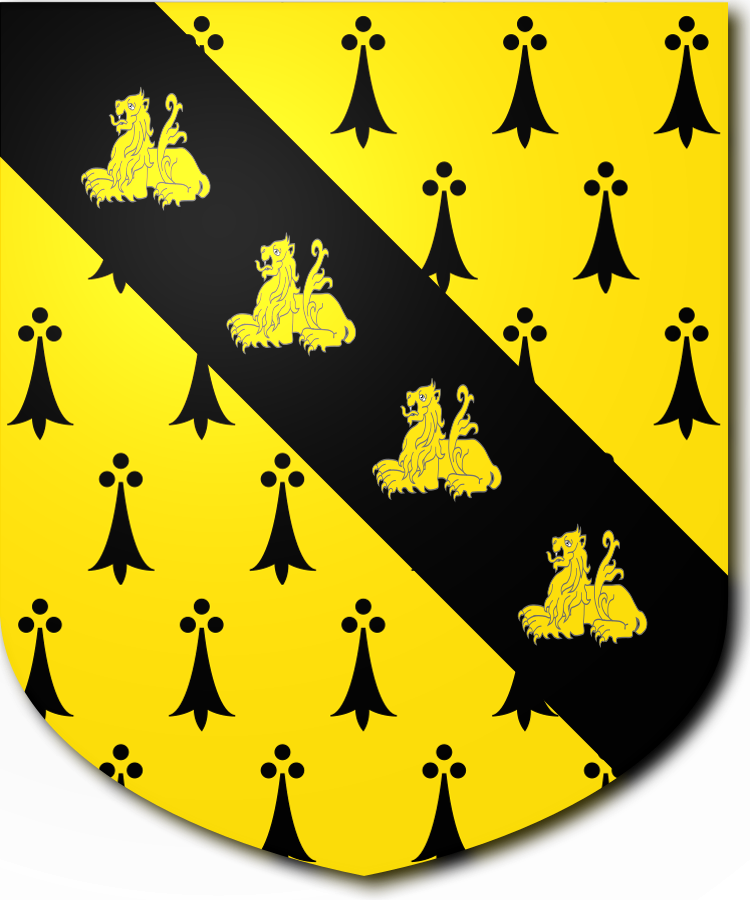 Shield image