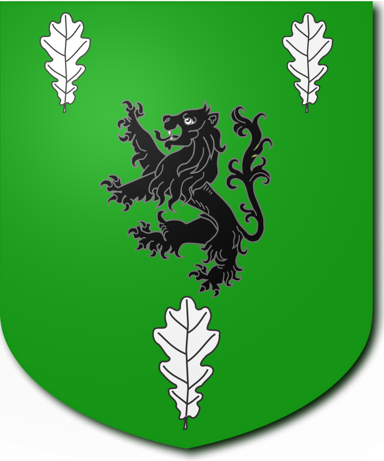 Shield image