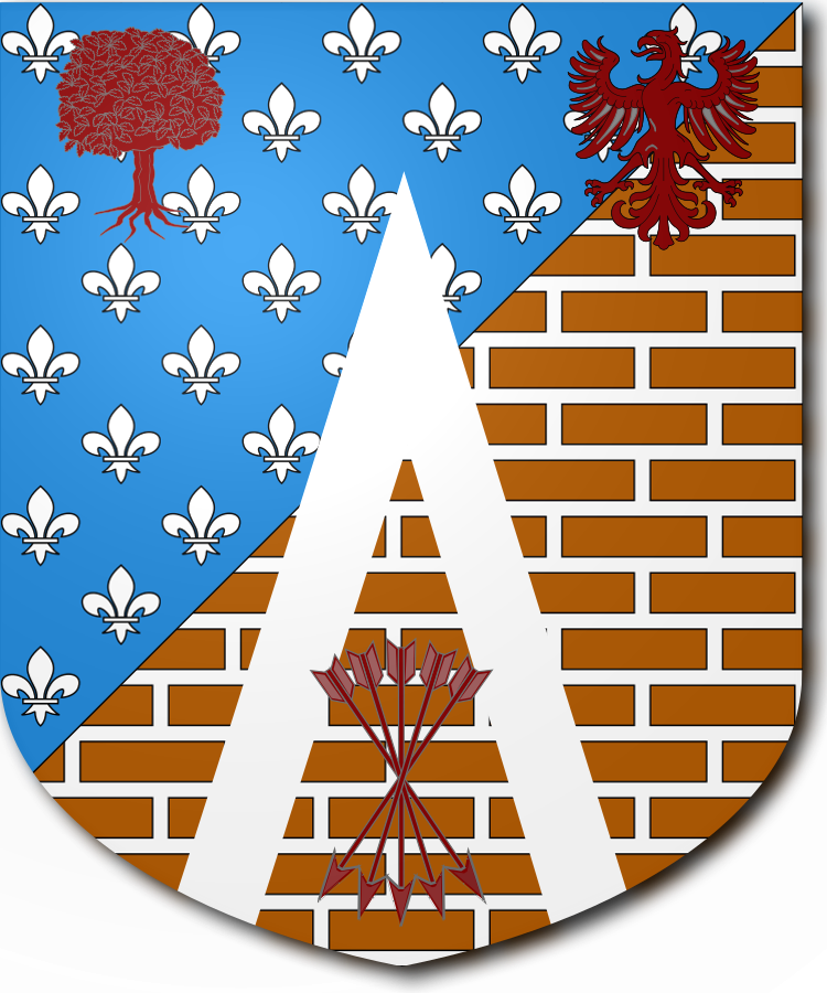 Shield image