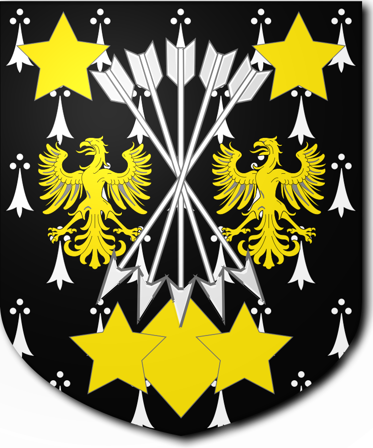 Shield image