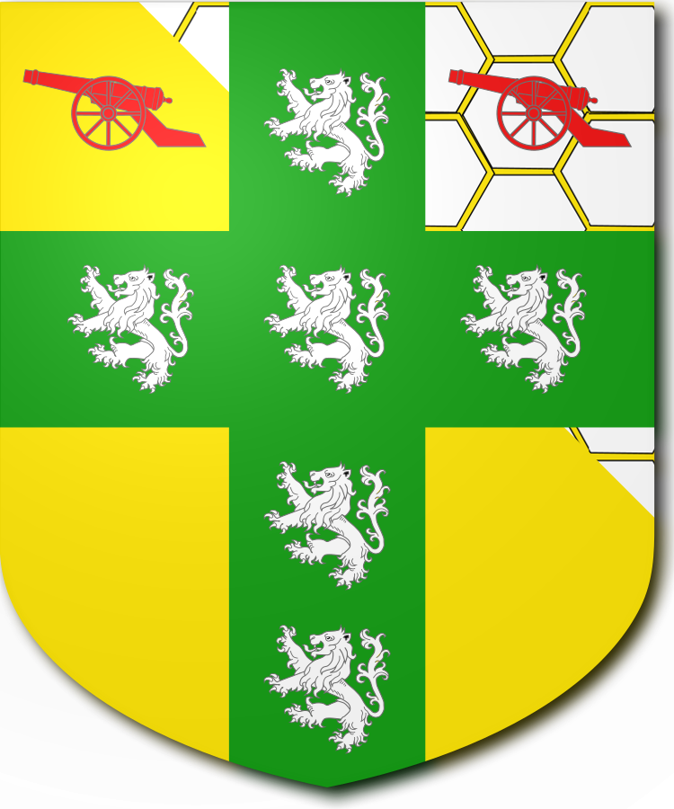 Shield image