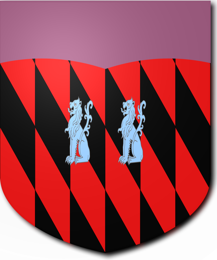 Shield image