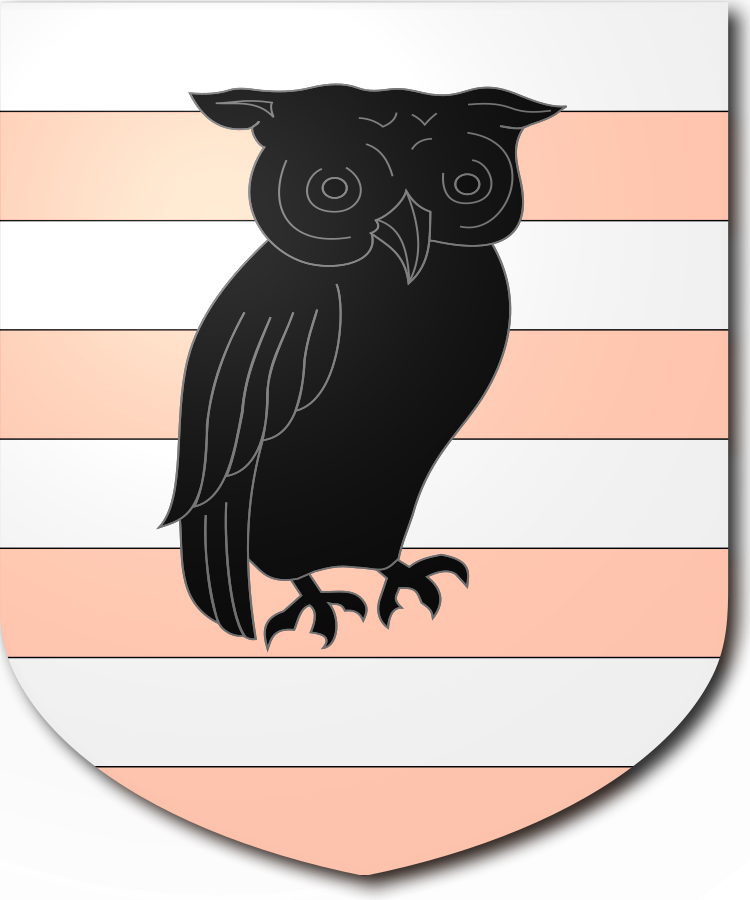 Shield image