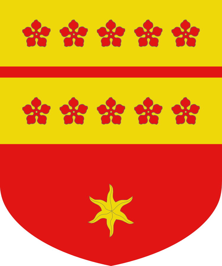 Shield image