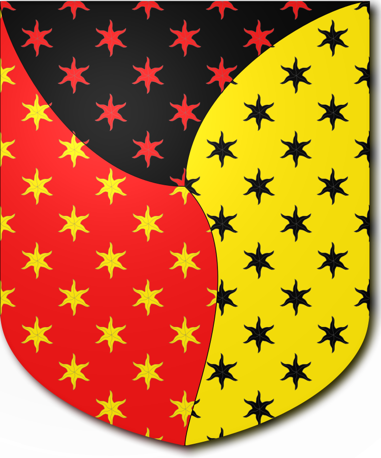 Shield image