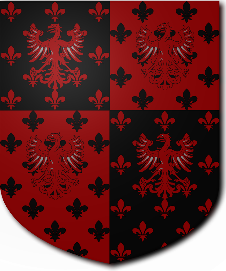 Shield image