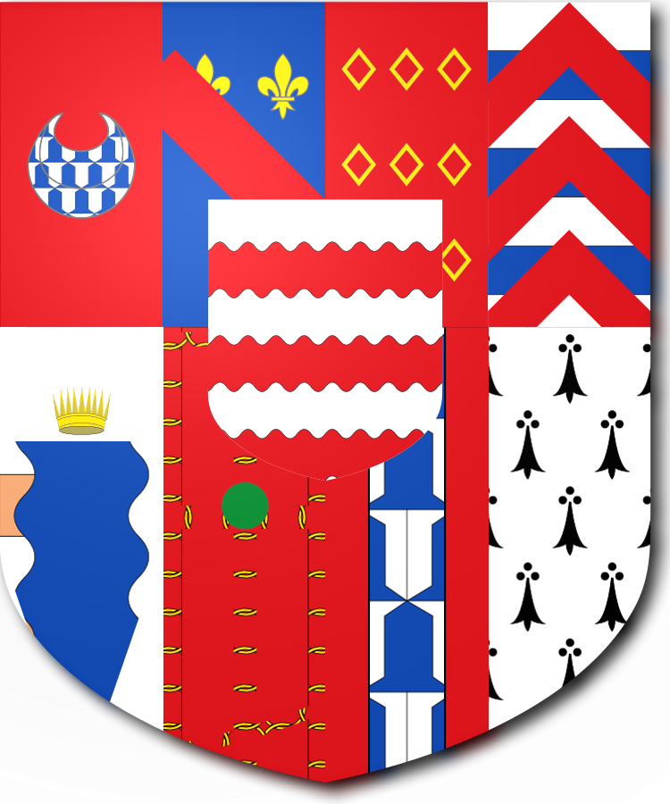 Shield image