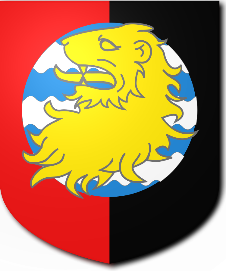 Shield image