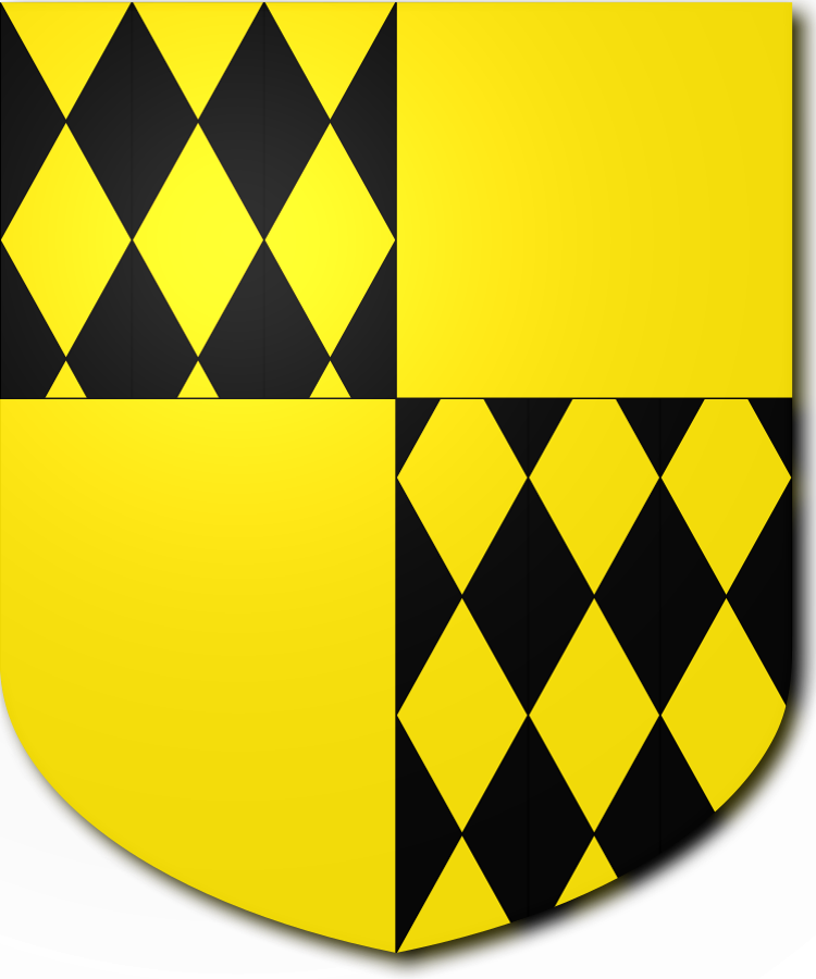 Shield image