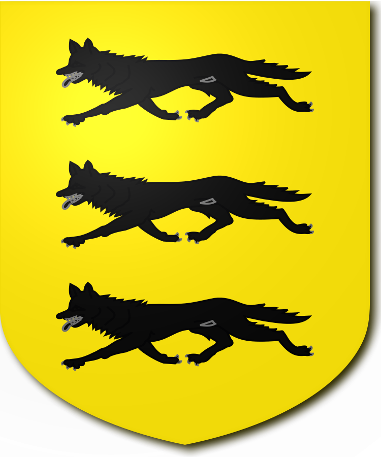 Shield image