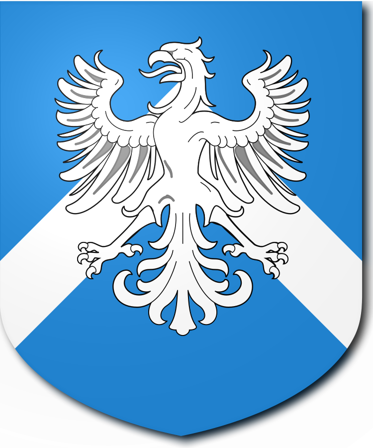 Shield image