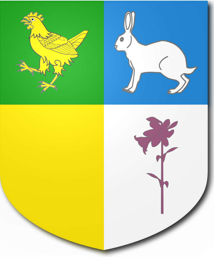 Shield image