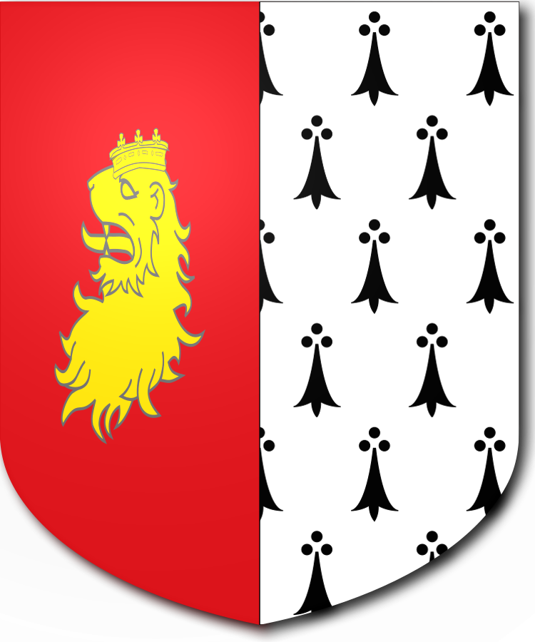 Shield image