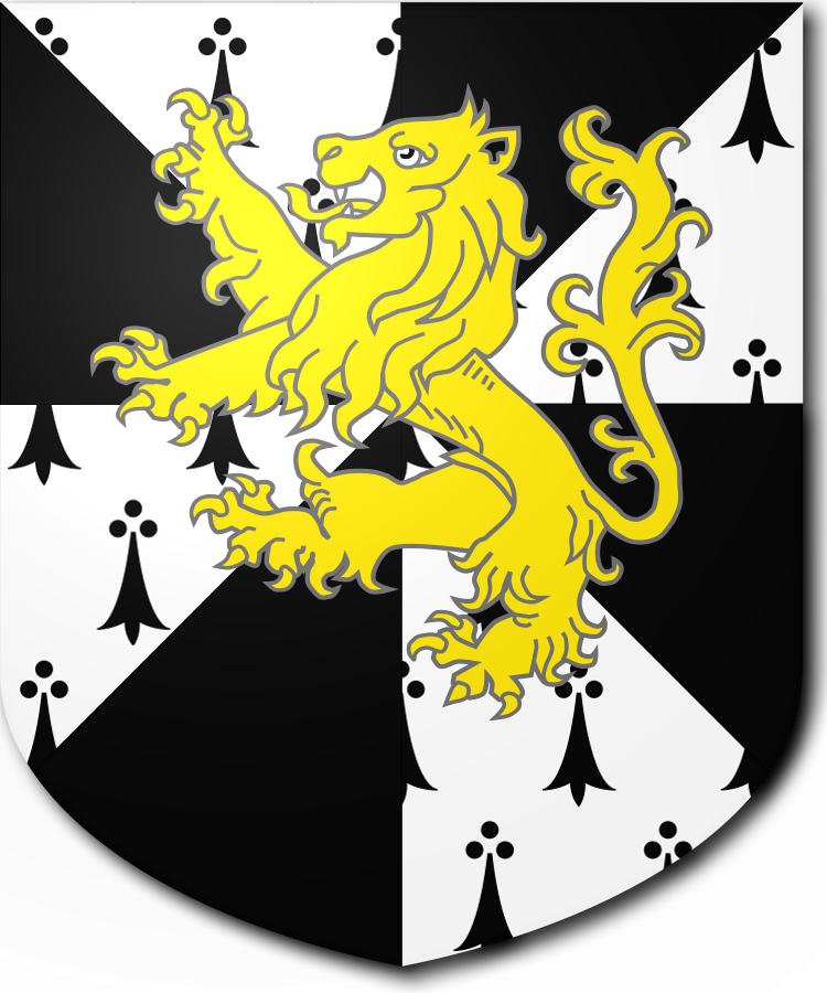 Shield image