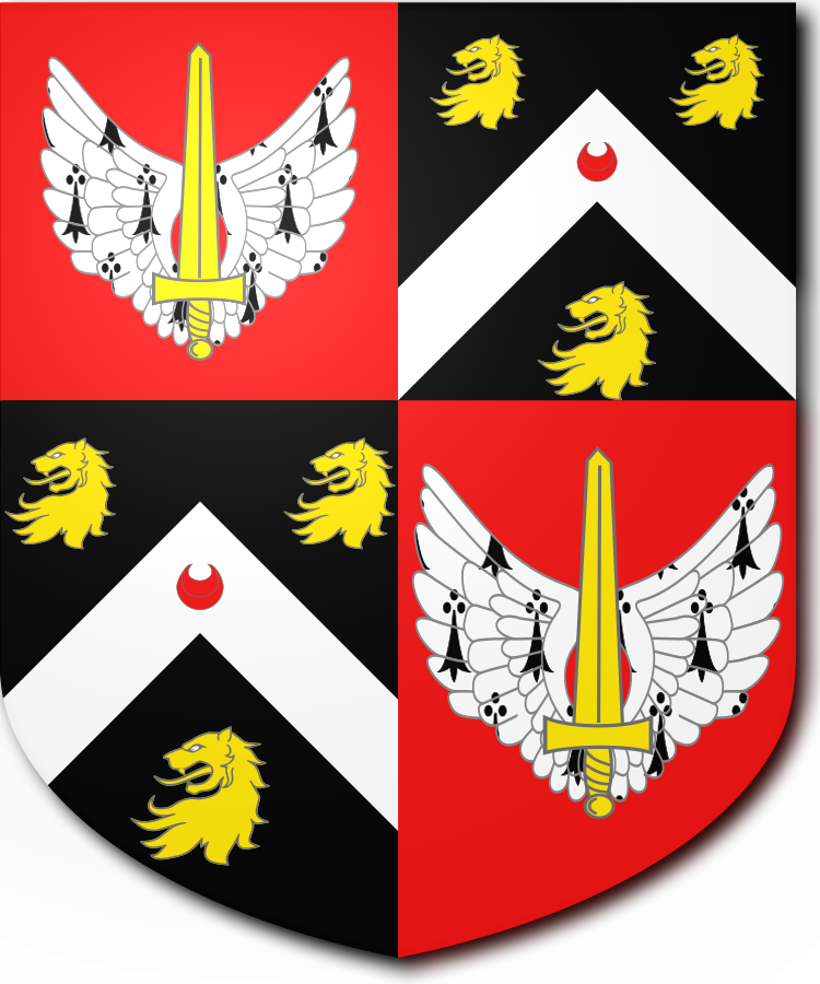 Shield image