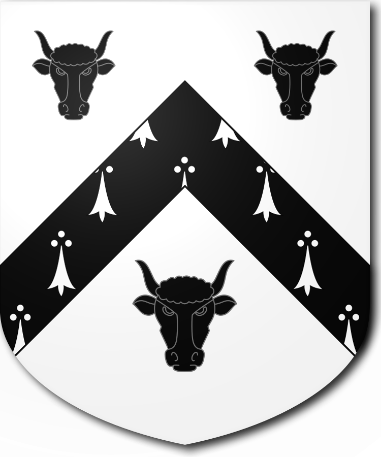 Shield image