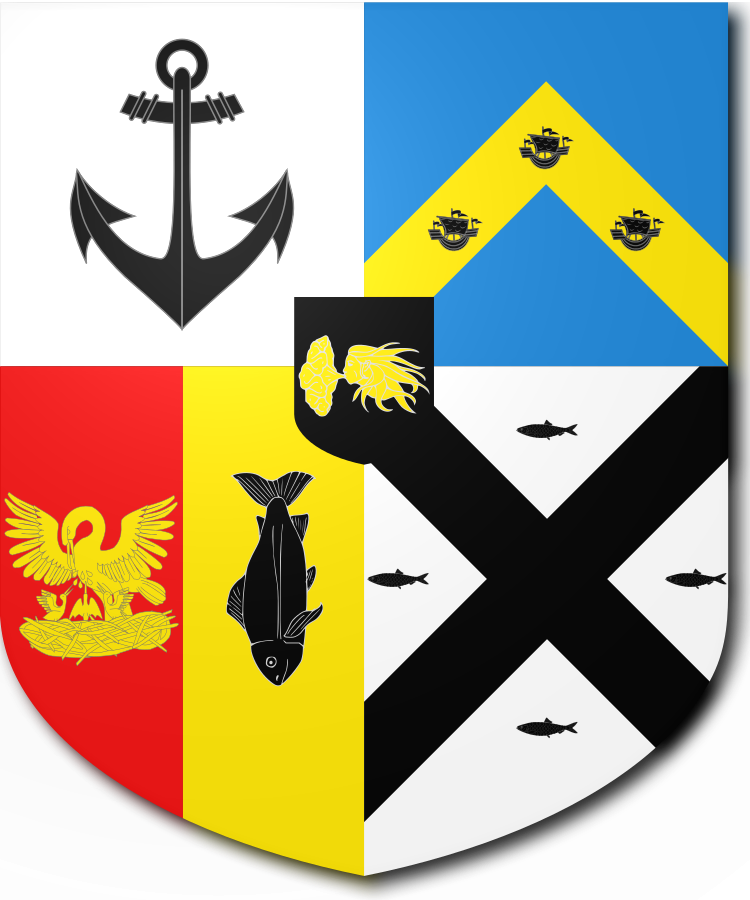 Shield image