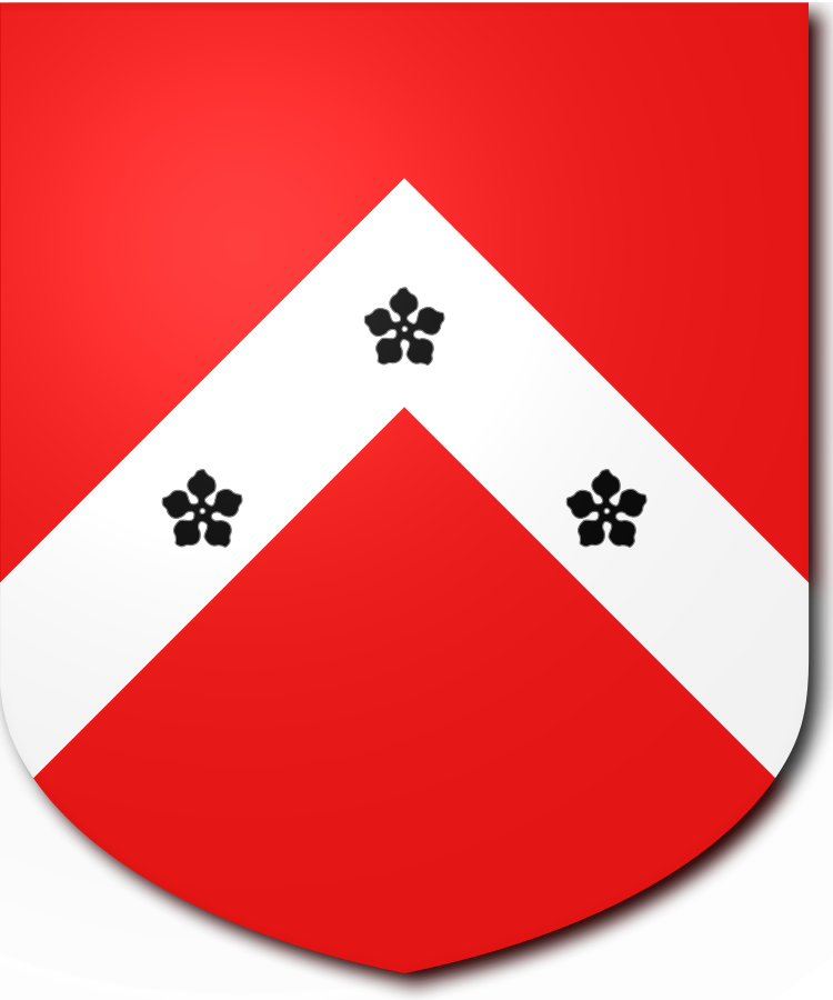 Shield image