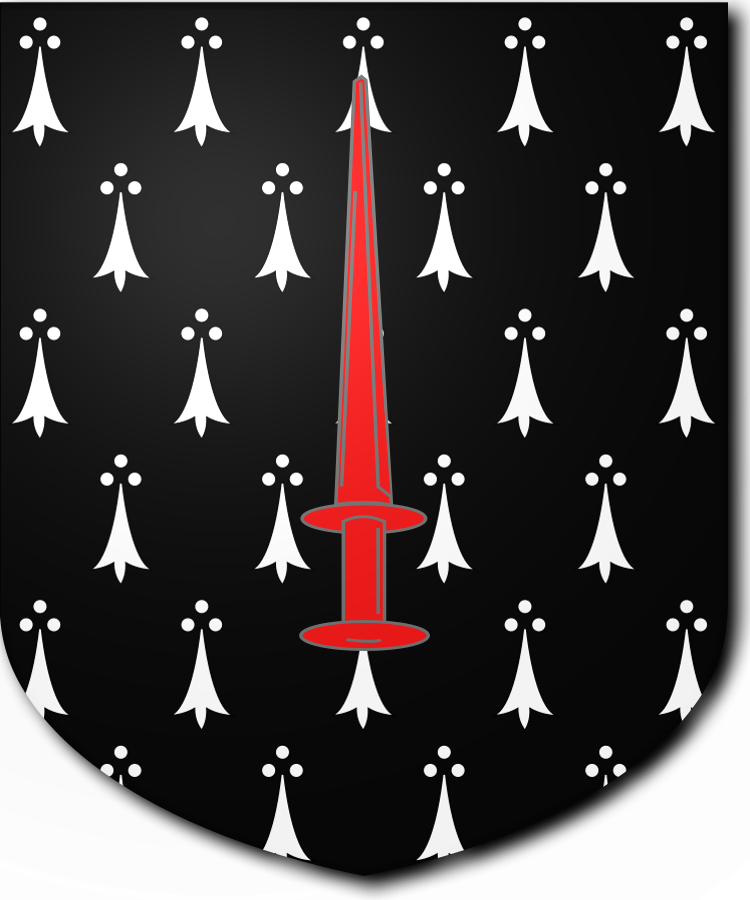 Shield image