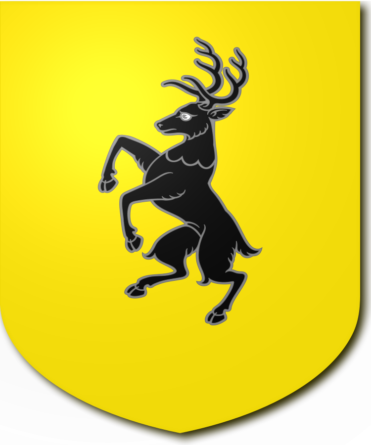 Shield image