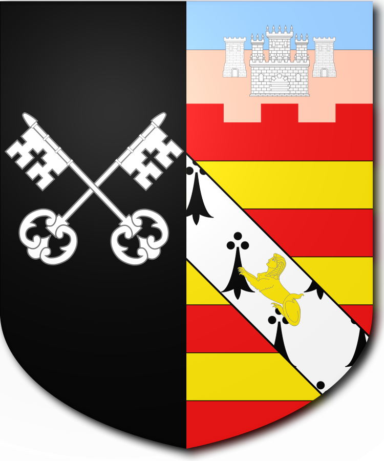 Shield image