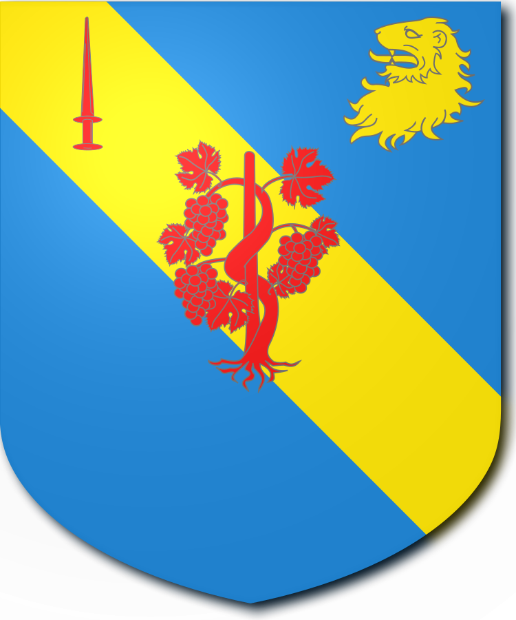 Shield image