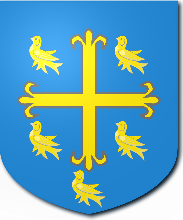 Shield image