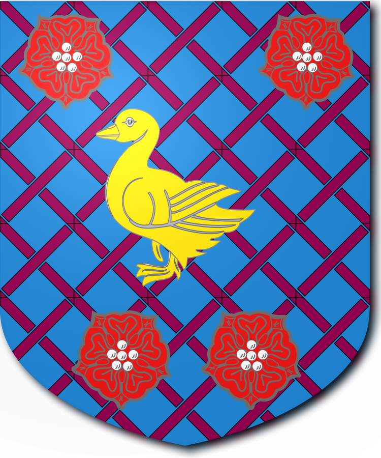 Shield image