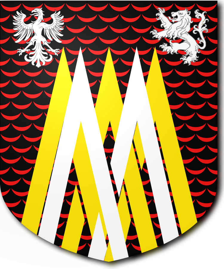 Shield image