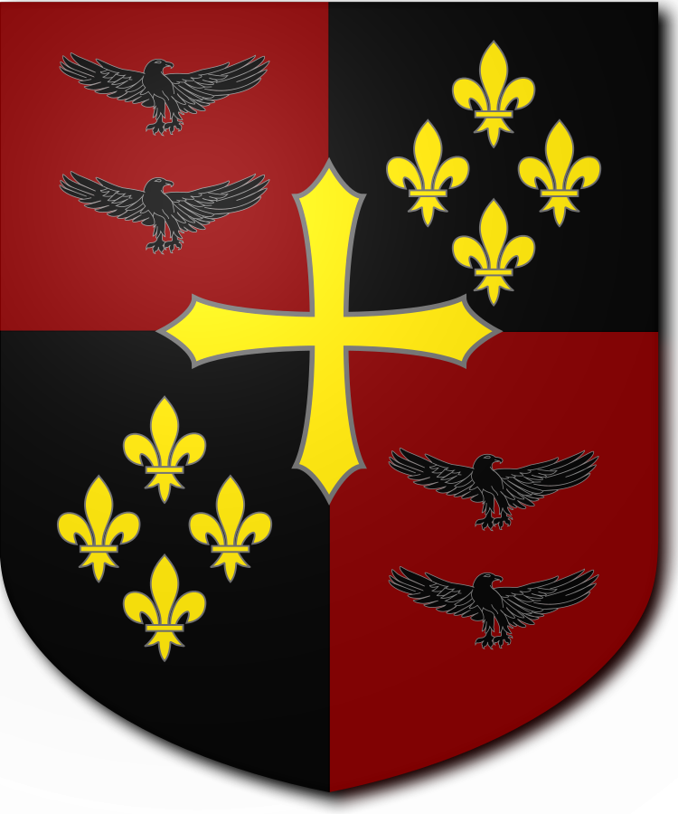 Shield image