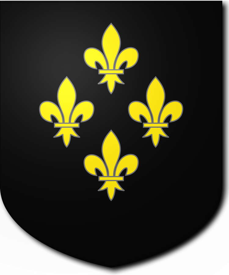 Shield image