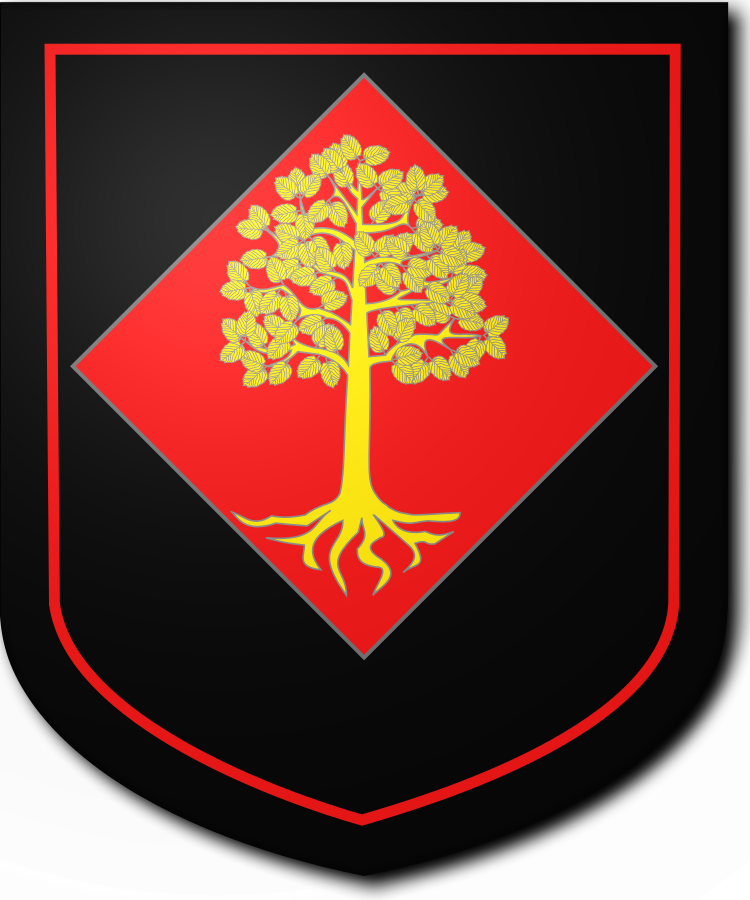 Shield image