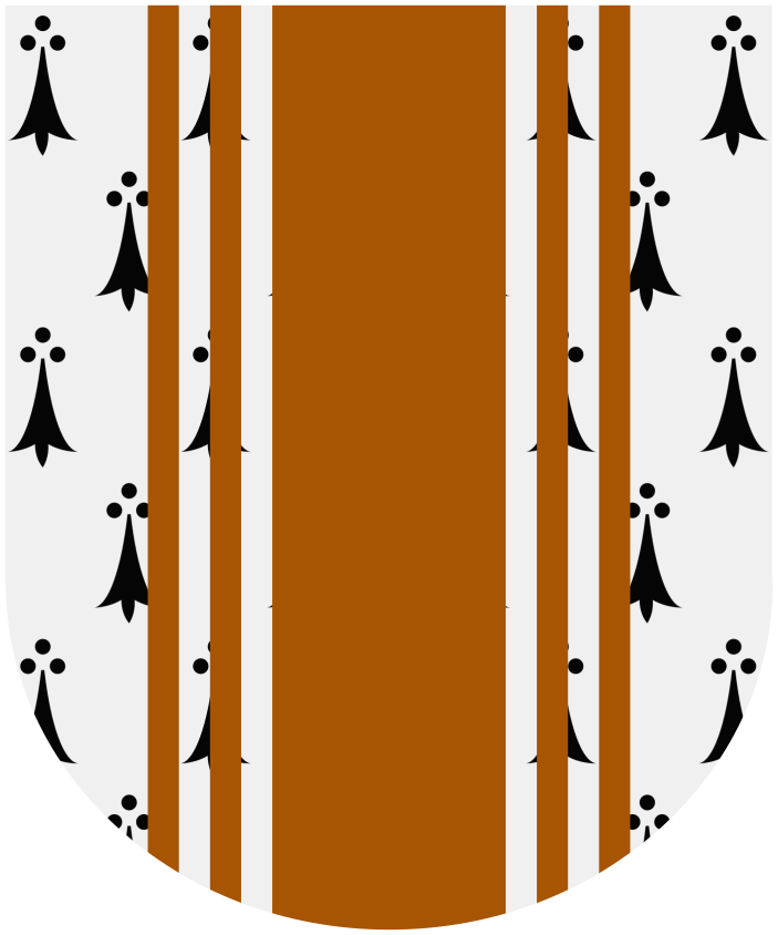 Shield image