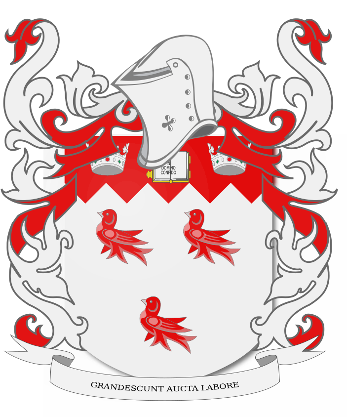 Shield image