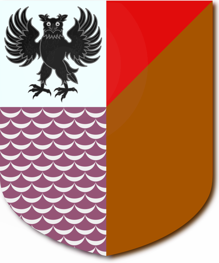 Shield image