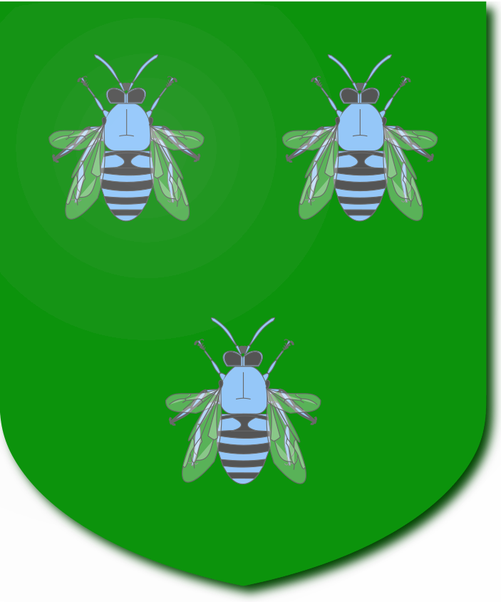 Shield image