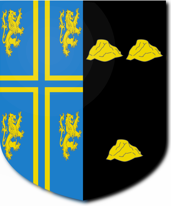 Shield image