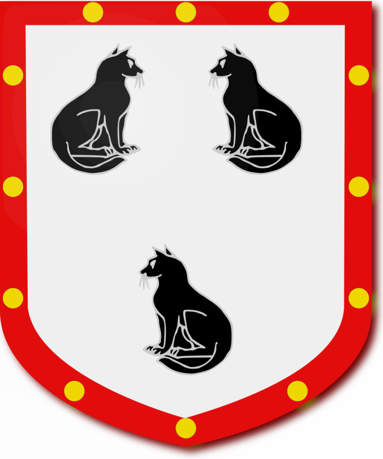 Shield image