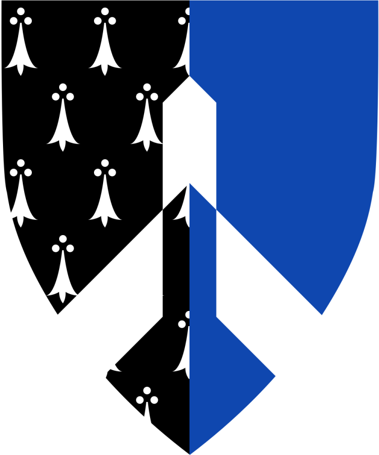 Shield image