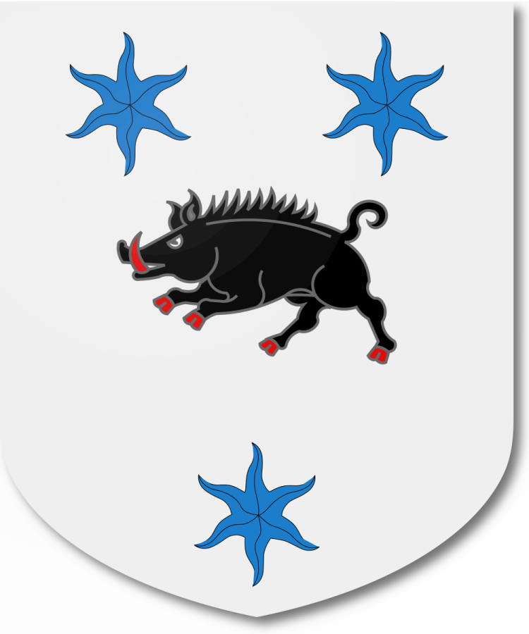 Shield image